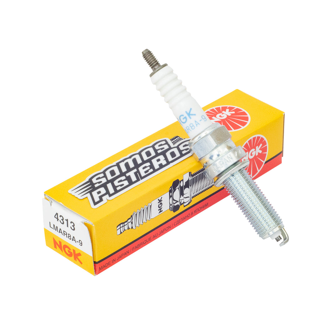 Bujia Ngk Oem NSS 250 FORZA X EX 300 SH 300 i NSS 300 Sport
