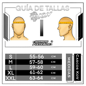 Casco Stealth Alebrije Azul PULSAR R6R FZ R1 R15 CBR GIXXER